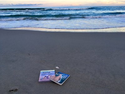 Beach: An Owner's Manual